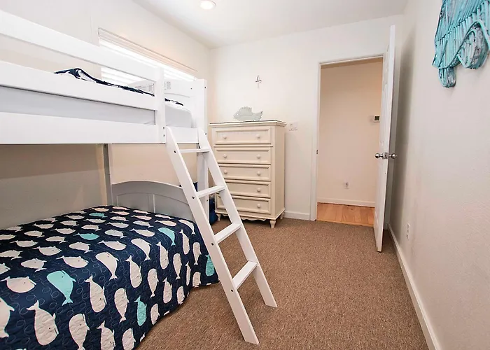 Nh301, Driftwood Dreaming- Hot Tub, Oceanside, Close To Ocean!
