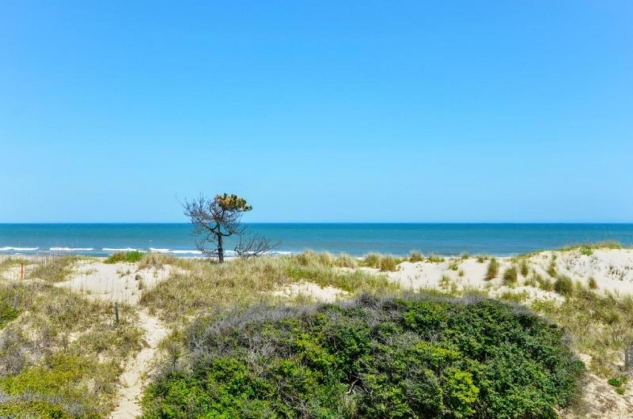 7100 Pelican Oasis 1 Min Walk To The Nags Head